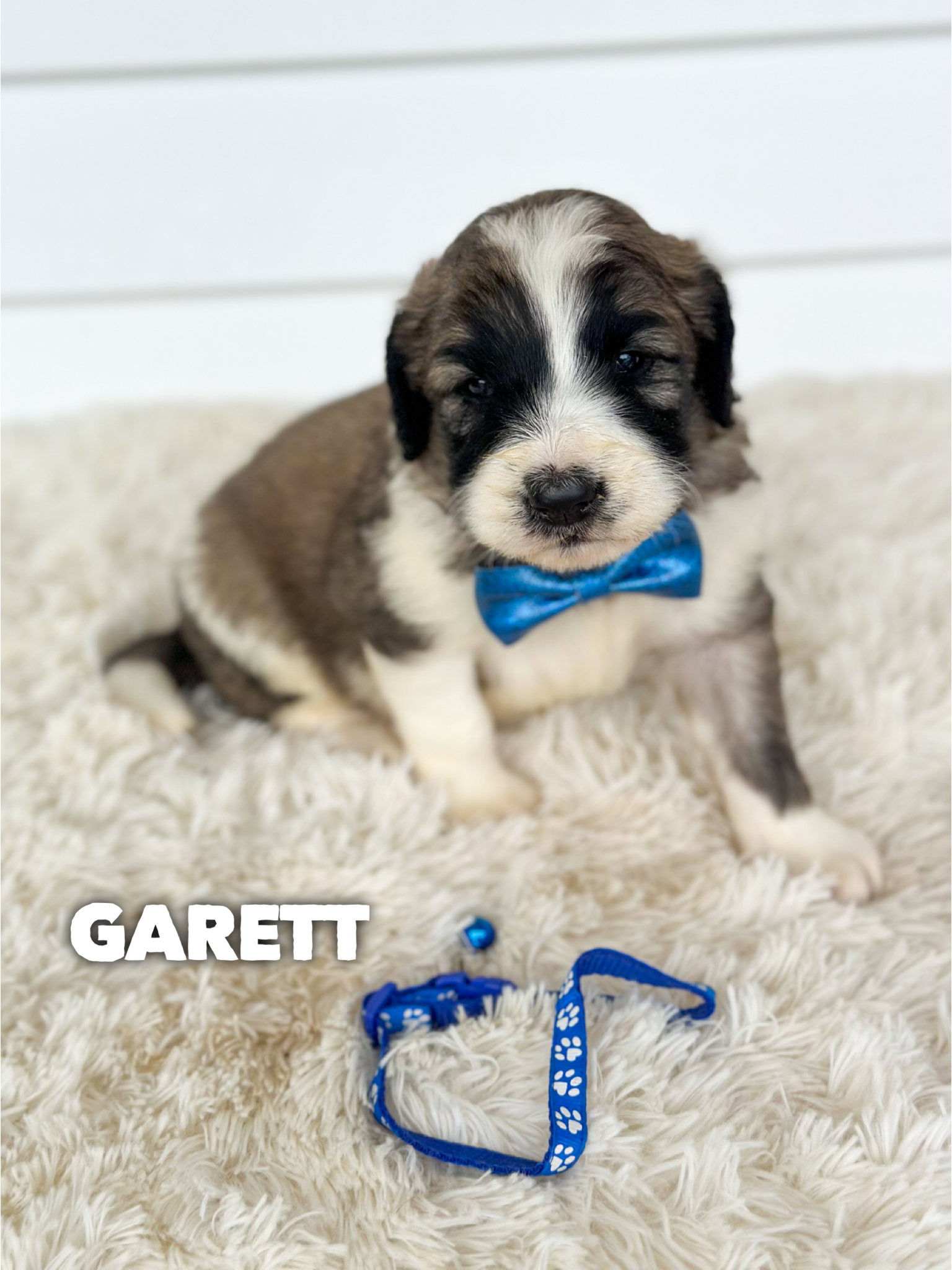 Garret 2